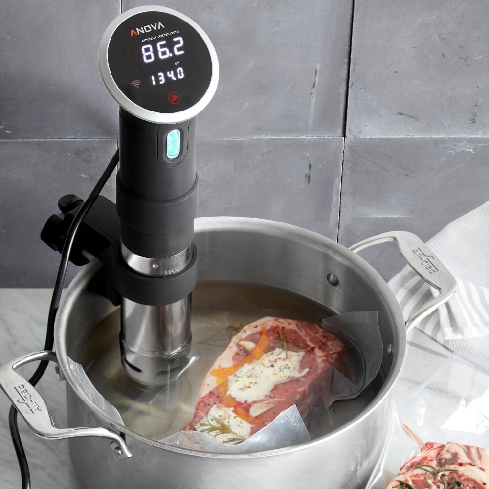 Anova Precision Sous Vide Cooker with WiFi | Williams Sonoma Australia